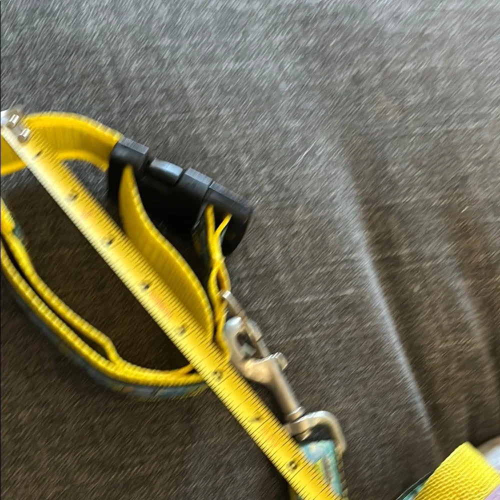 Sailboat Dog Collar & 4ft Leash